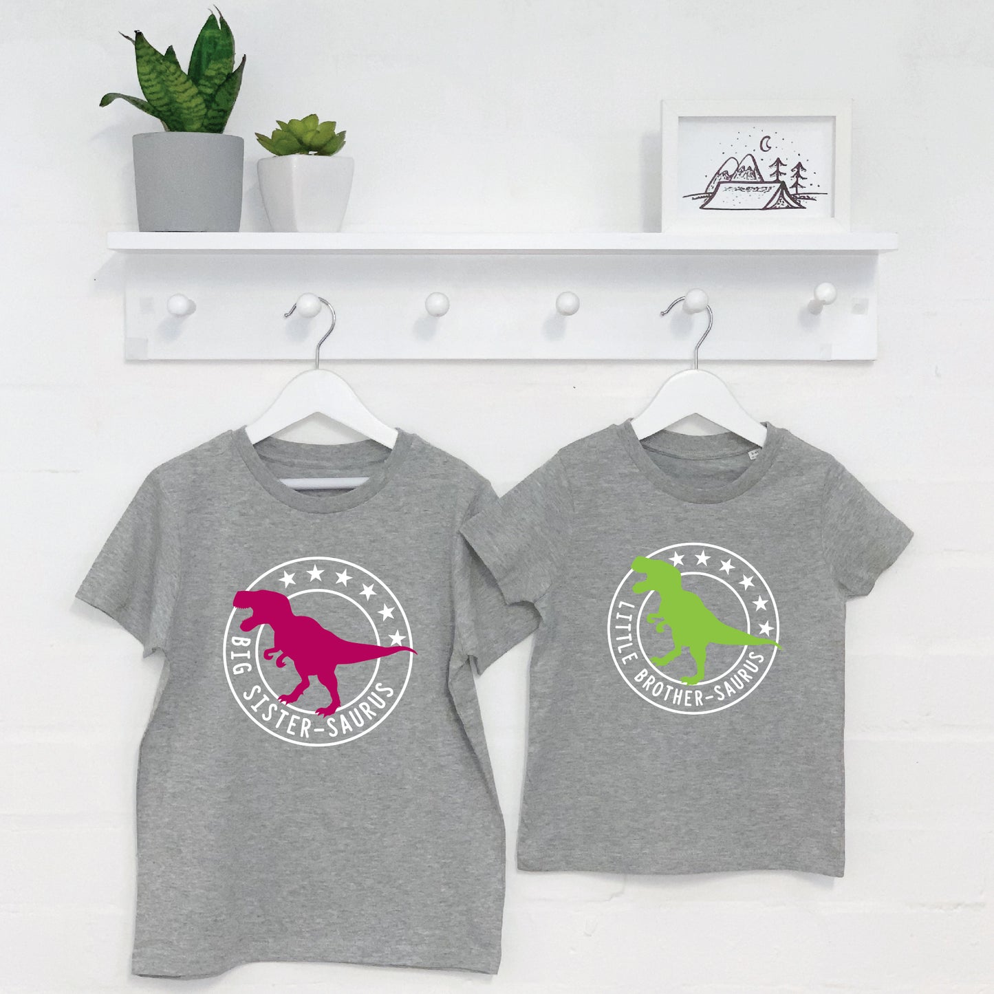 Brother Sister Dinosaur Sibling T Shirt Set