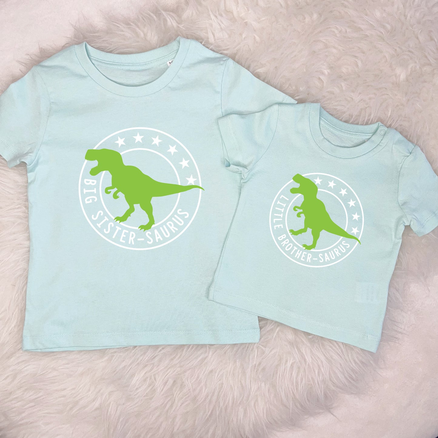 Brother Sister Dinosaur Sibling T Shirt Set