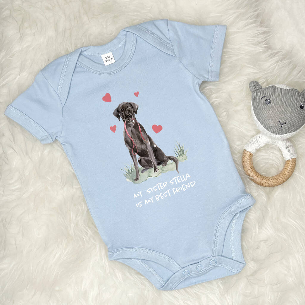 Labrador Dog Sibling Personalised Babygrow