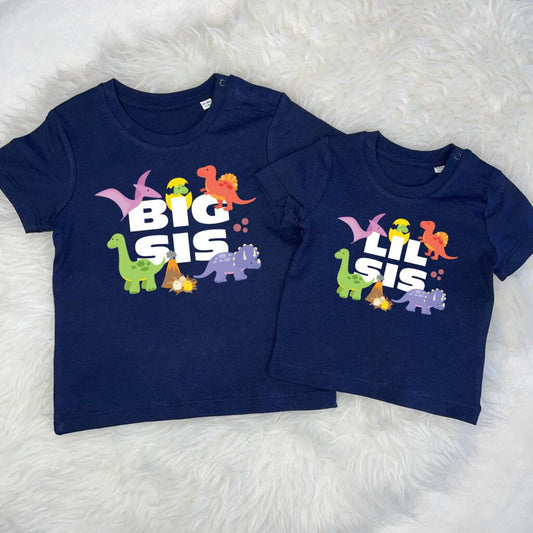 Brother Sister Dinosaur Sibling T Shirt Set