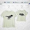 Dinosaur Matching T Shirt Set For Brothers And Sisters