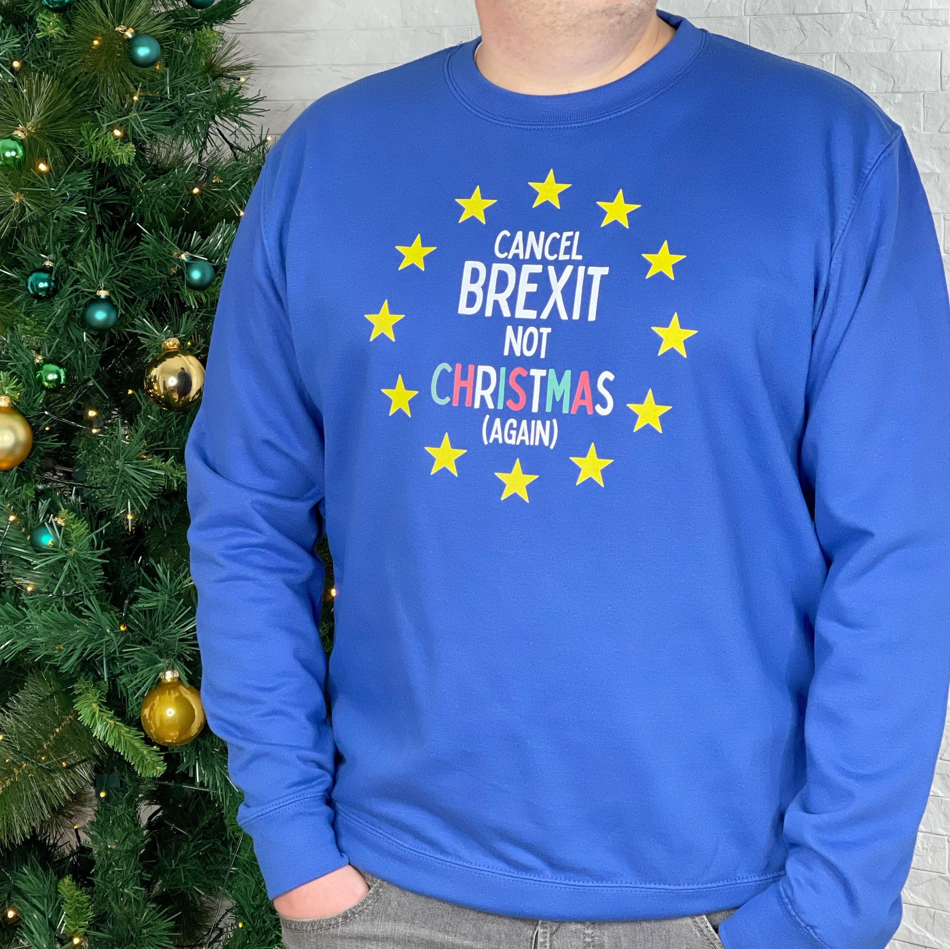 Anti Brexit Christmas Jumper - Lovetree Design