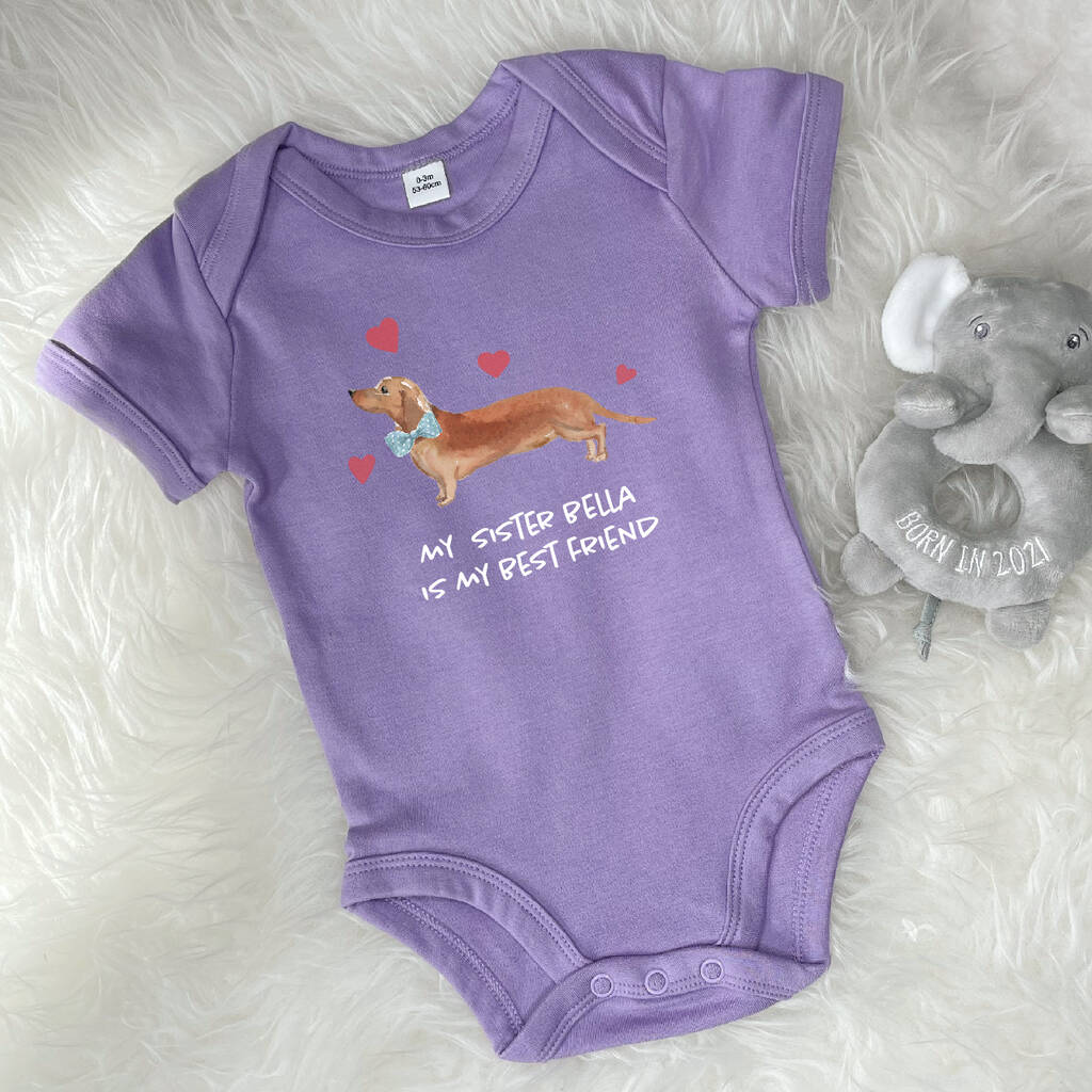 Dachshund/Sausage Dog Sibling Personalised Babygrow - Lovetree Design