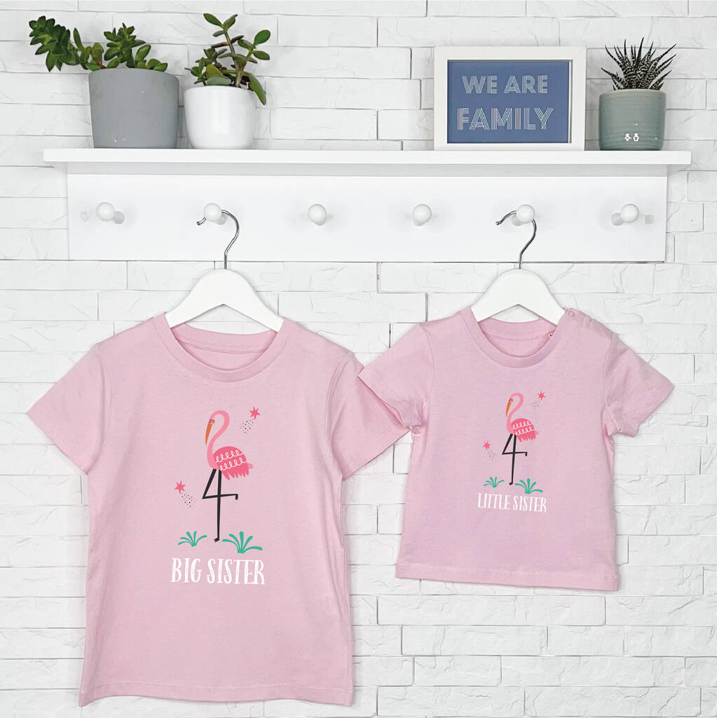 Flamingo Big Sister Little Sister T Shirt Set - Lovetree Design