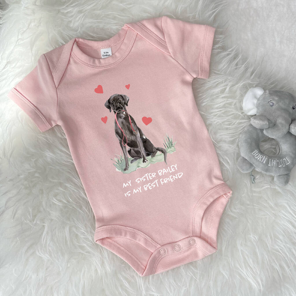 Labrador Dog Sibling Personalised Babygrow - Lovetree Design